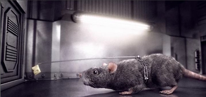 Projekt Animationssequenzen für RatMania